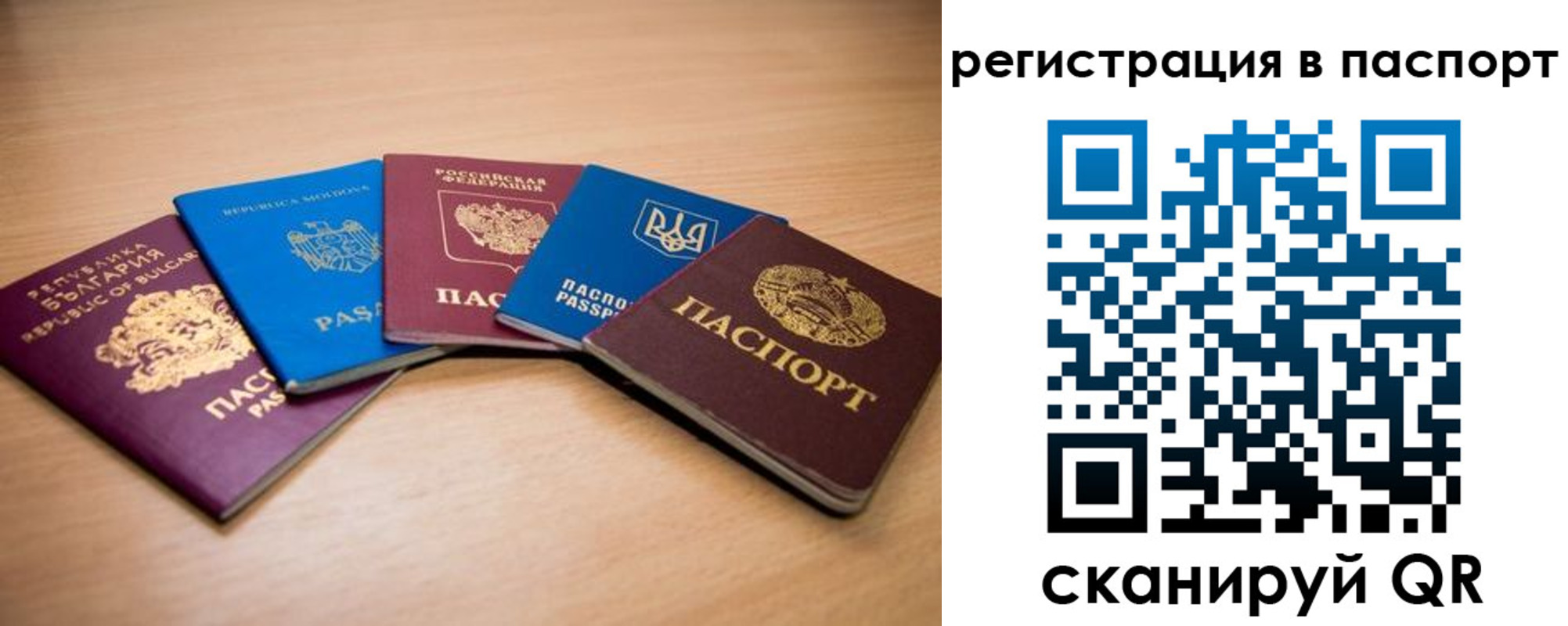 временная регистрация законно в Стародубе